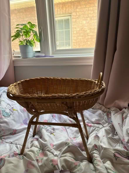 Photo of free wicker doll crib (Waterdown) #1