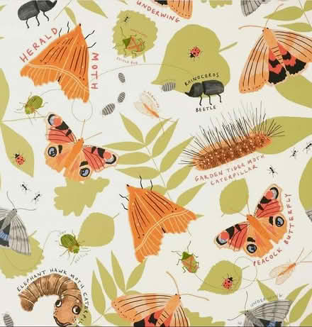 Photo of free Mini beasts wallpaper (St Albans AL4) #1