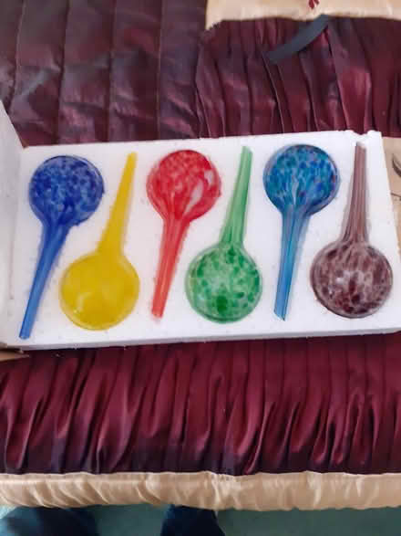 Photo of free Glass watering spheres x6 (Tonbridge TN9) #1