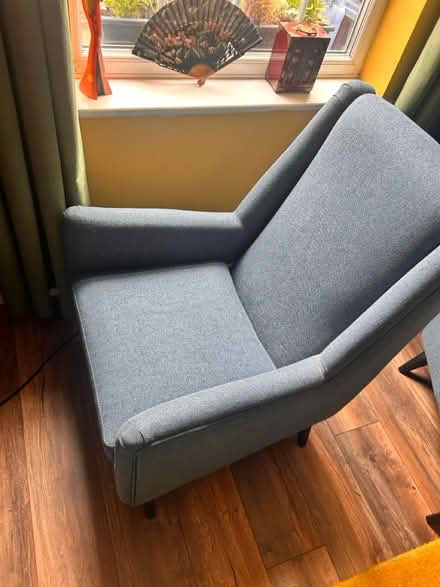 Photo of free To collect as soon as possible (Old swan) #3