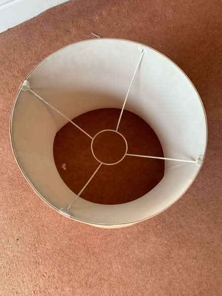 Photo of free Large lampshade (Wrington BS40) #3