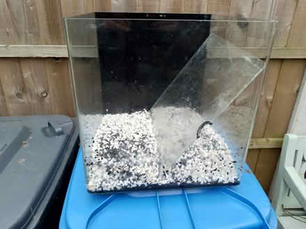 Photo of free Fish tank (Chaddesden DE21) #1