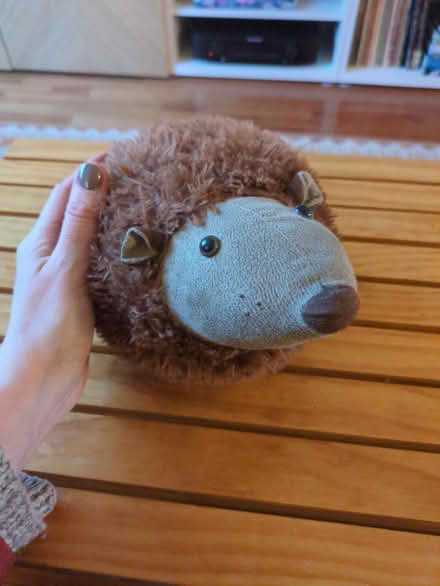 Photo of free M&S Hedgehog door stop (Mosspark, Glasgow G52) #2