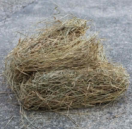 Photo of Straw for garden (NW10) #1