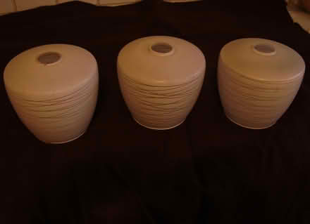 Photo of free Glass lampshades (Beckenham) #1