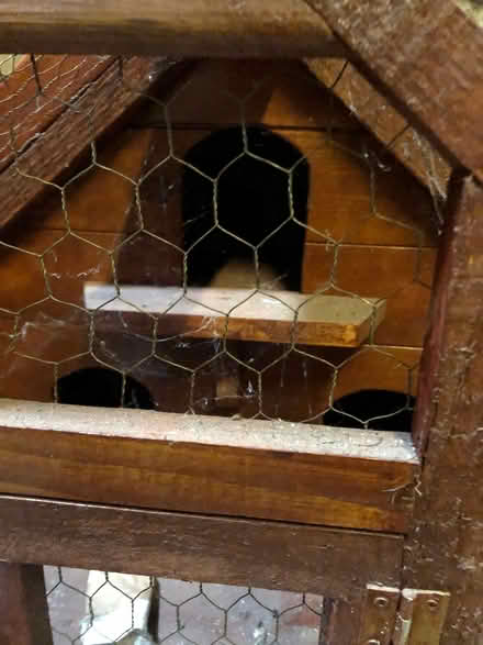 Photo of free Dove House (Stainton CA11) #3