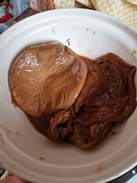 Photo of free Scobies (Stroud GL5) #1