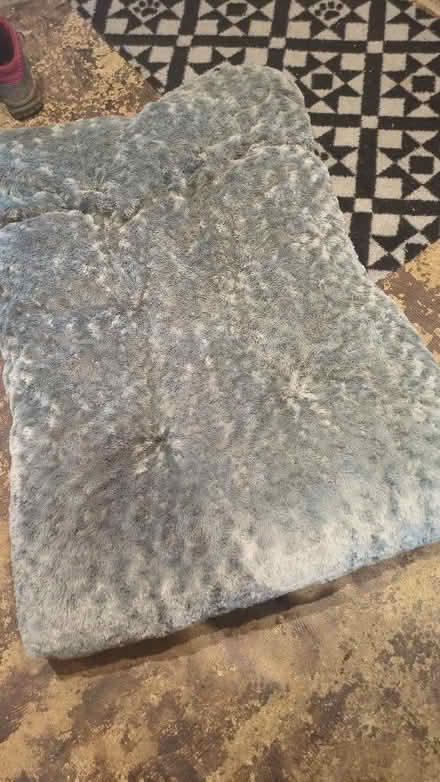 Photo of free Large dog bed (De Parys MK40) #1
