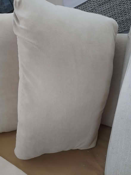 Photo of free Large Sofa cushions (Havant PO9) #1