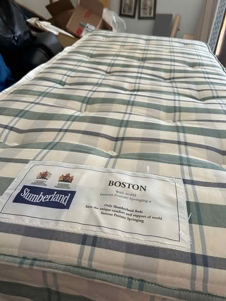 Photo of free Two single mattress (Box Hill SN13) #1