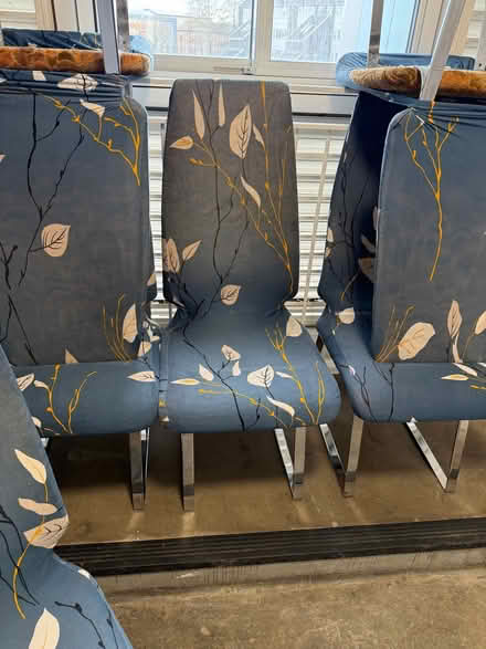 Photo of free 6 chairs (Benhilton SM1) #1