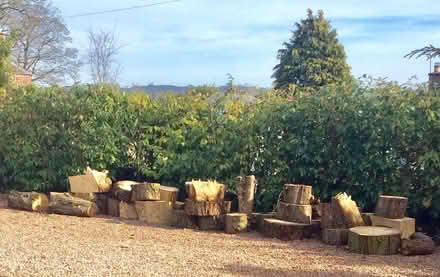Photo of free Firewood (Coupar Angus PH13) #1