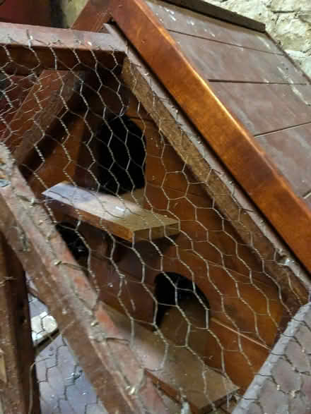 Photo of free Dove House (Stainton CA11) #1