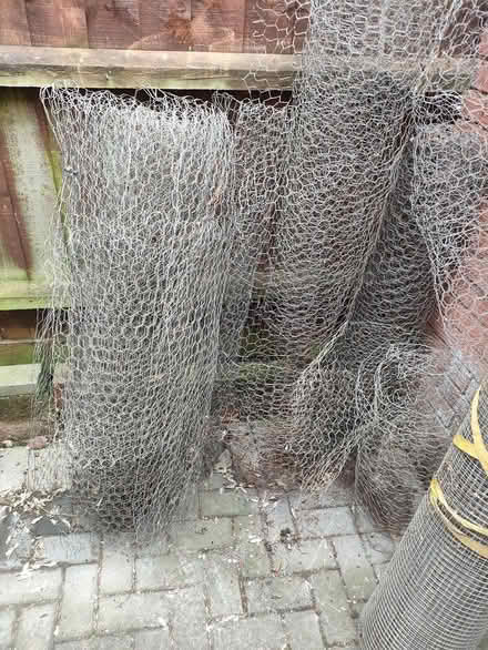 Photo of free Chicken wire / mesh (Hatton Park, Wellingboro NN8) #3
