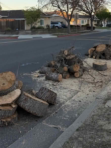 Photo of free Wood (West San Jose / Cupertino, CA) #1