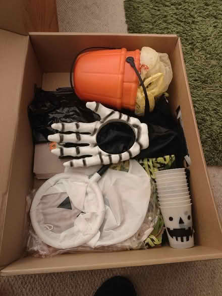 Photo of free Halloween decorations (Chineham RG24) #1