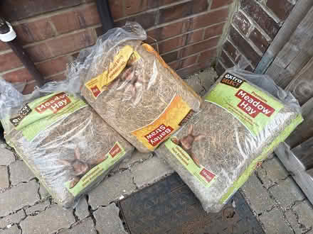 Photo of free Straw hay (Enfield N9) #1