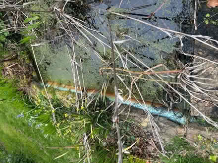 Photo of free Pond with liner (KT17 3BH) #2