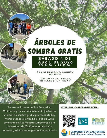 Photo of free Shade Trees in Redlands (San Bernardino County Museum) #2