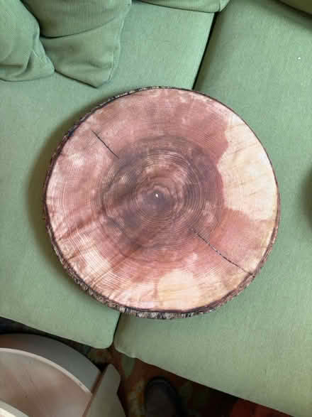 Photo of free Tree pillows (Highland Park/Eagle Rock) #2