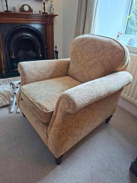 Photo of free Armchair (Timsbury, Bath BA2) #2