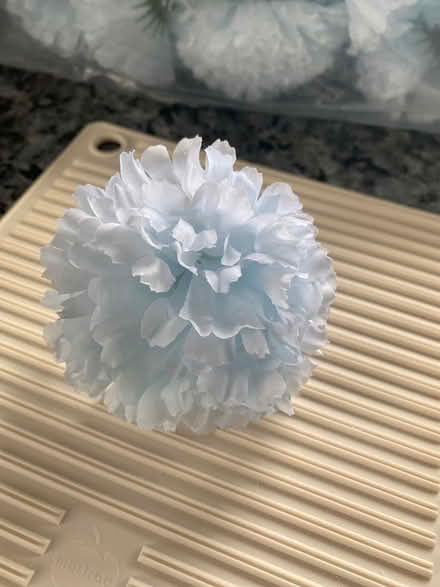 Photo of free Carnation flower picks (Lee, SE12 8BZ) #1