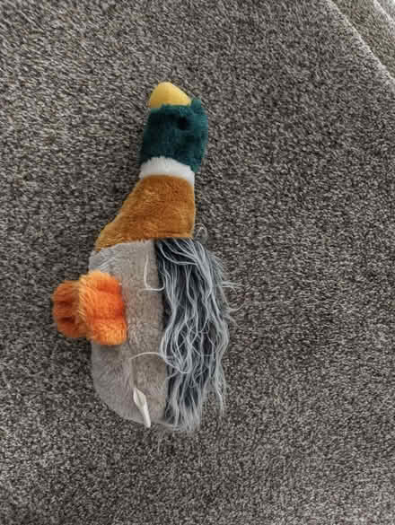 Photo of free Dog toy (Livingston) #1