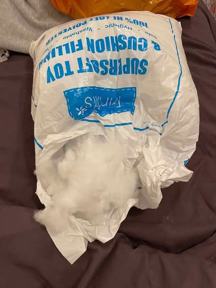 Photo of free Inner stuffing (Wandsworth SW18) #1
