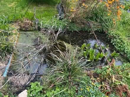 Photo of free Pond with liner (KT17 3BH) #1