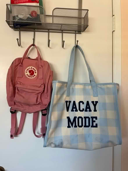 Photo of free 2 bags (Berryessa) #1