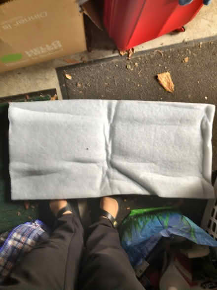 Photo of free Pieces of fibre padding (Goldenacre EH5) #2