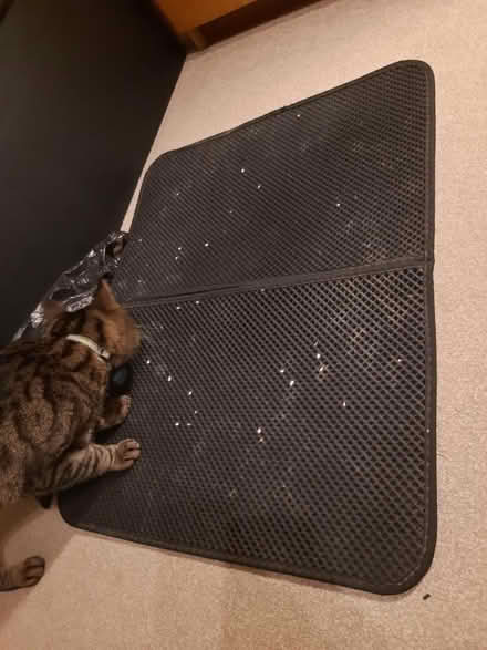 Photo of free Mat for cat litter tray (Rickmansworth WD3) #1