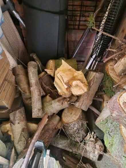 Photo of free Logs (Whiston L35) #2