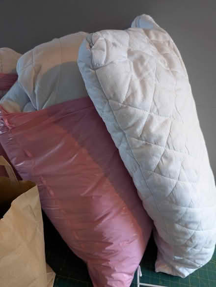 Photo of free Three pillows with pillow protectors (Newhaven BN9) #1