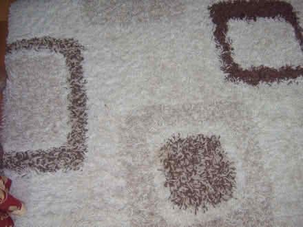 Photo of free RUG (Durrington BN13) #1