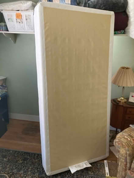 Photo of free Elongated twin box spring (Winsted) #1