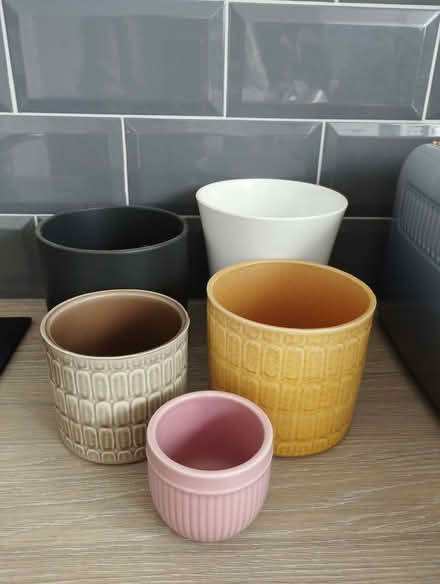 Photo of free Plant Pots (CO7) #2