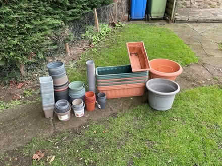 Photo of free Plastic plant pots /planters (Wrexham Technology Park LL11) #1