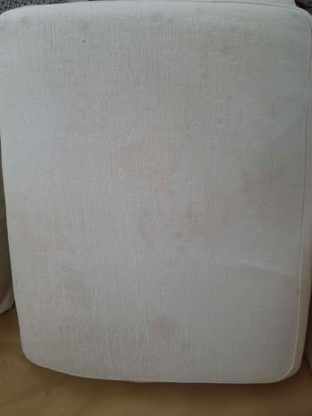 Photo of free Large Sofa cushions (Havant PO9) #2