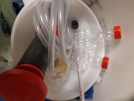 Photo of free Demijohns (Hailsham BN27) #2