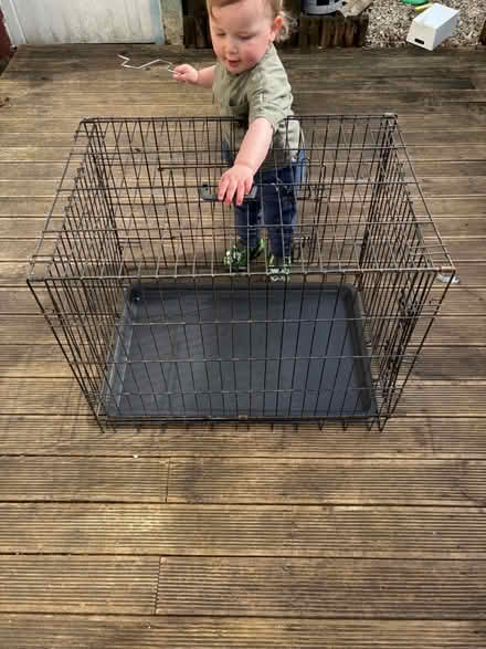 Photo of free Medium size animal crate. (Barnstaple EX32) #1