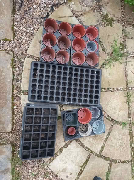 Photo of free Plastic plant pots (Ip2) #1