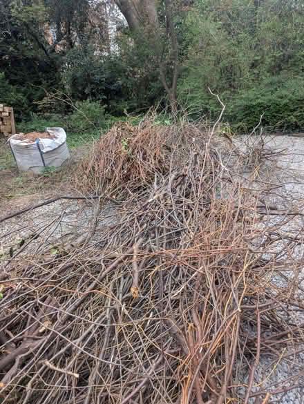 Photo of free Lime wood for burner / kindling (Levenshulme M19) #1