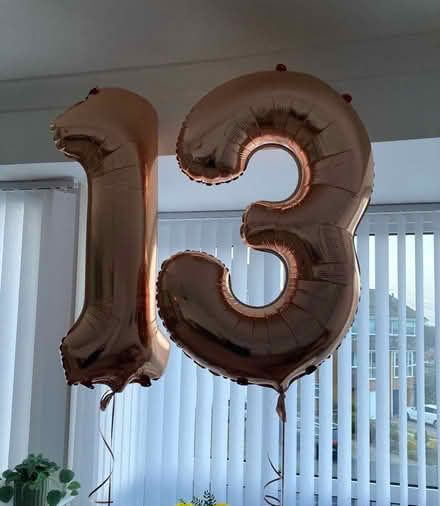 Photo of free Rose gold balloons (S35) #1
