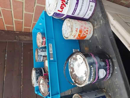 Photo of free Paint (Colchester CO4) #1
