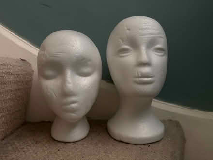 Photo of free Display heads (Coley RG30) #1