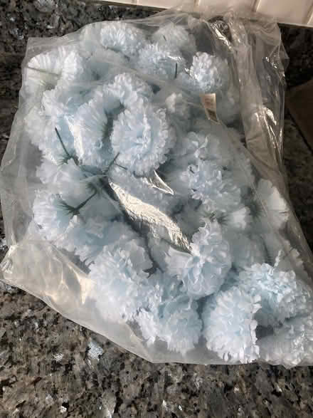 Photo of free Carnation flower picks (Lee, SE12 8BZ) #3