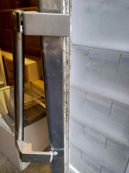 Photo of free Tall LG Freezer (Belper) #4