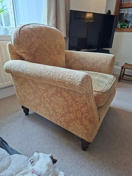 Photo of free Armchair (Timsbury, Bath BA2) #1