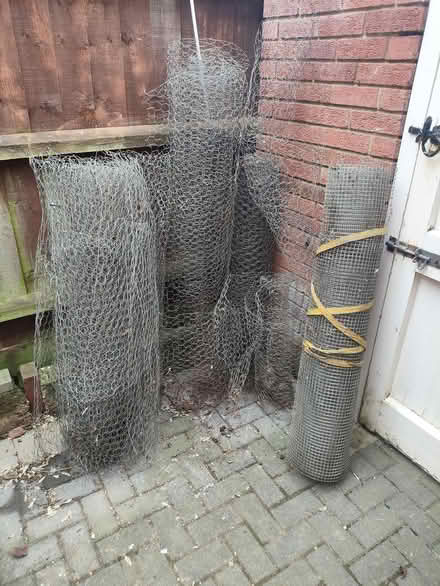 Photo of free Chicken wire / mesh (Hatton Park, Wellingboro NN8) #1